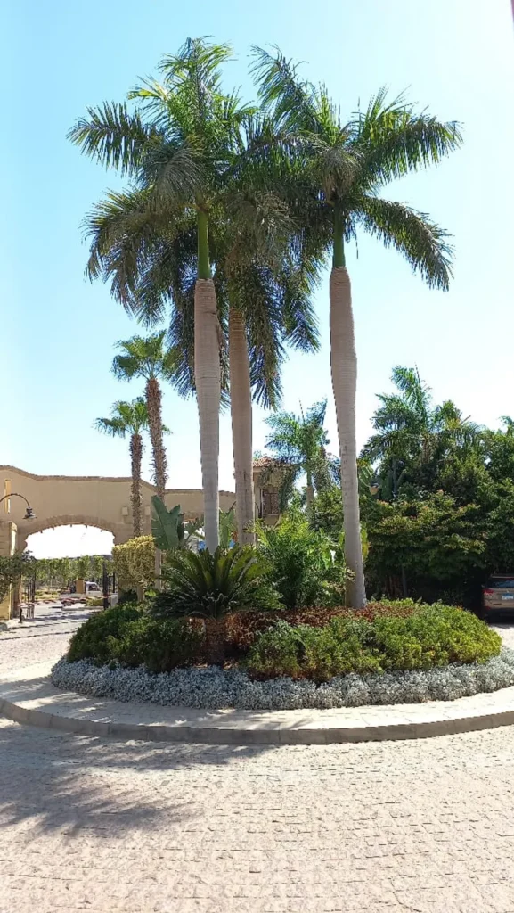 Townhouse in Dara Gardens