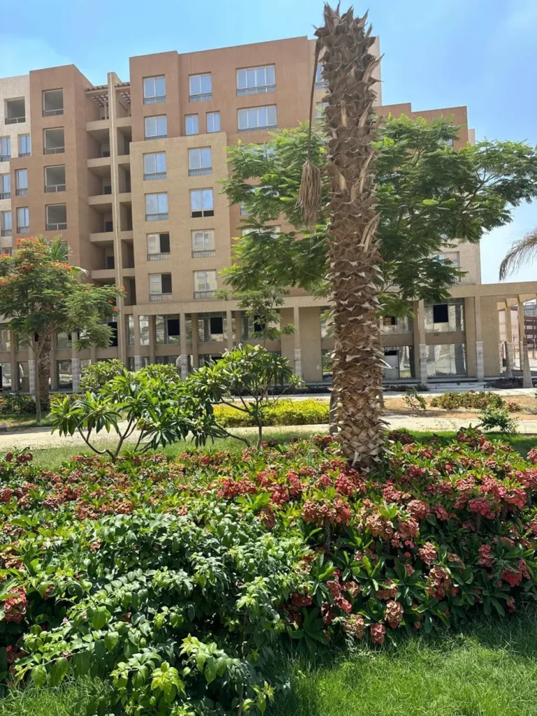 Apartment in Mamsha Avenues