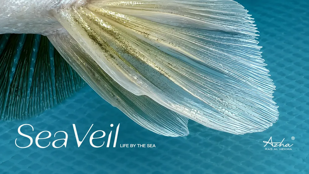 شاليه في Sea Veil